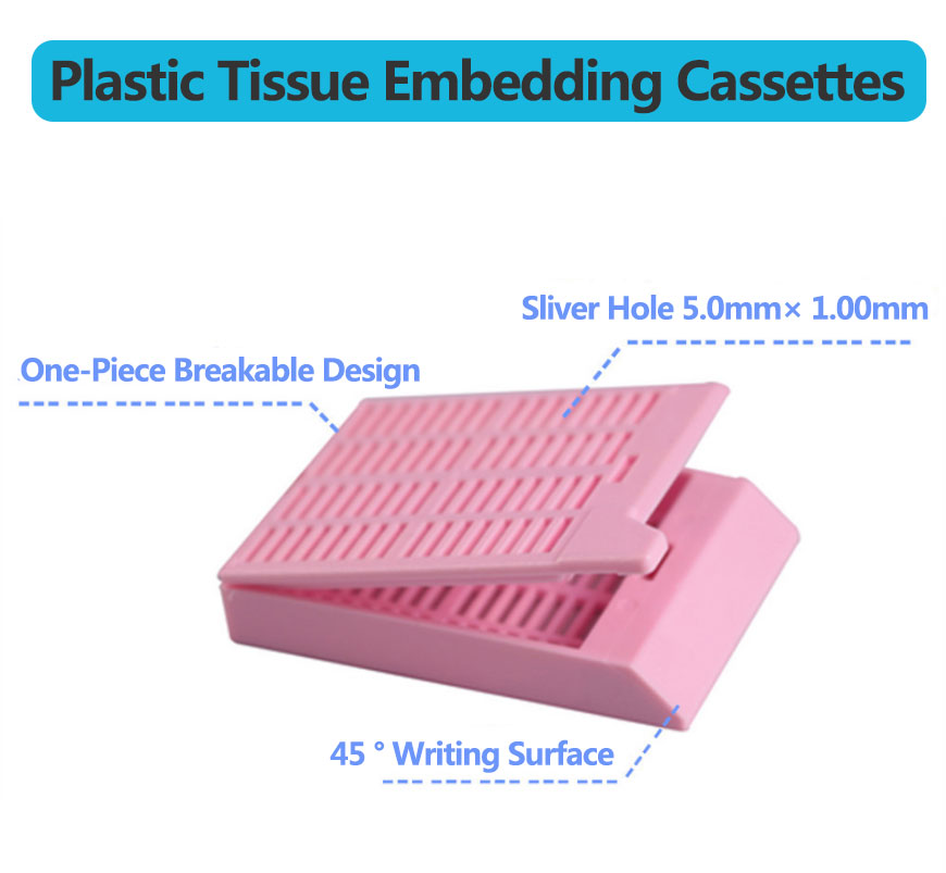 Plastic Embedding Histology